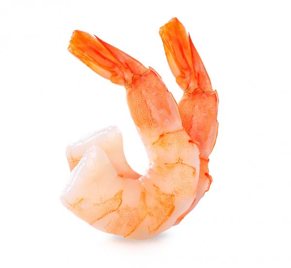 Shrimp